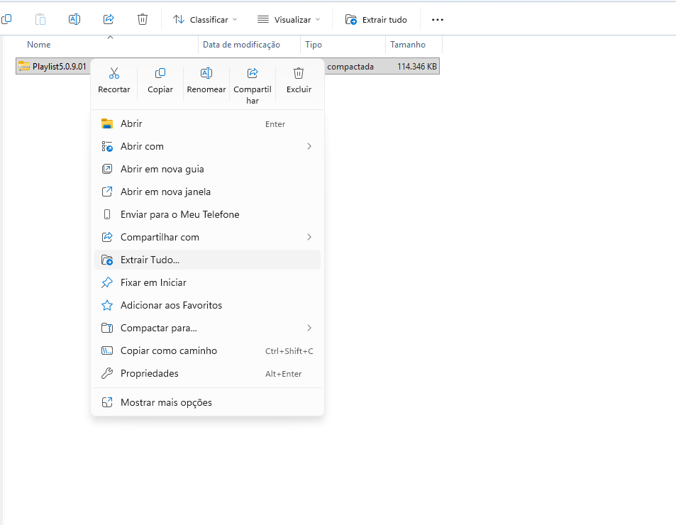 Extrair Arquivo Atualização Playlist Digital